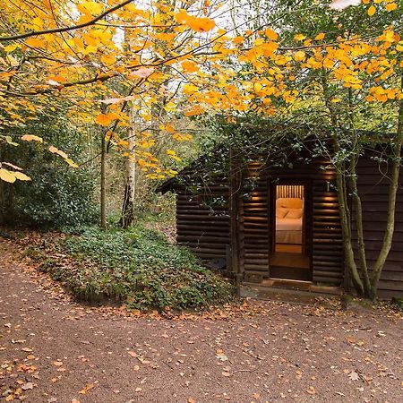Pinetum Lodgeグロスター 部屋 写真